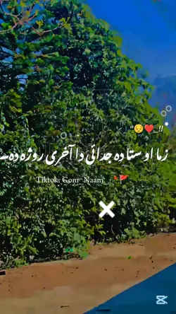 Pushto said poetry