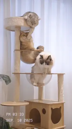 Pet Supplies