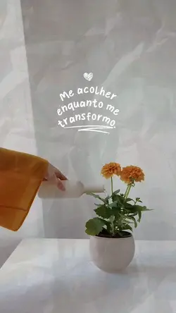 Frase•Efeito papel