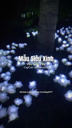 [2] Ảnh Xinh 