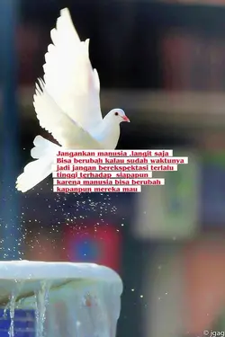 air mata