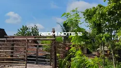 redmi note 12