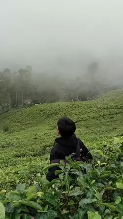 TEKS DISESUAIKAN