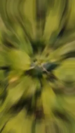 جاهز لنشر 