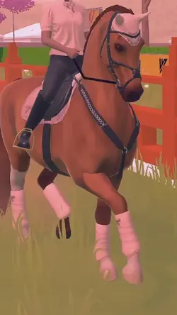 1 Clip hinzufügen