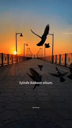babam olsun 