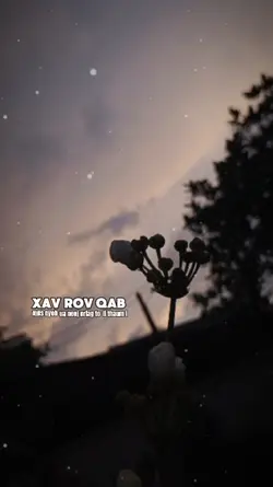 Xav rov qab mus 