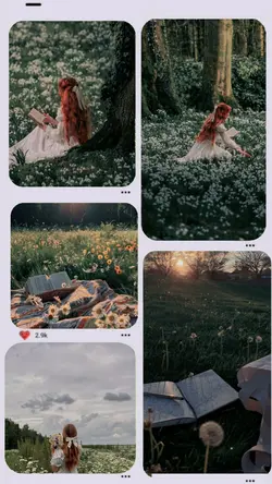 frame aesthetic 