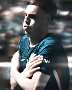 Palmer Edit