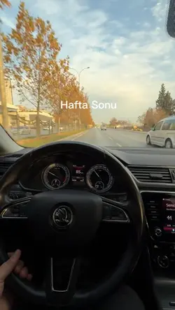 Araba akımı 