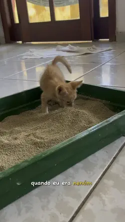 neném