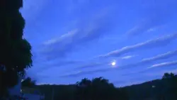 night nature