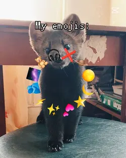 My emojis