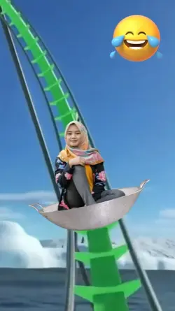Roller Coaster