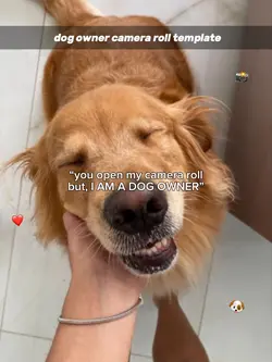 Dog camera roll