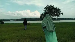 Video aesthetic