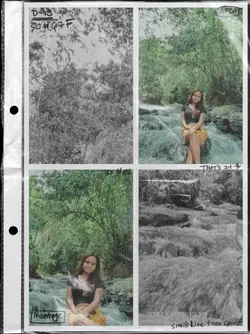 4 PIC