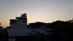 Aesthetic