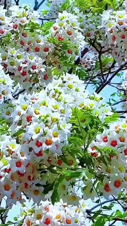 @เอ๋ค่ะ เอ๋ค่ะ