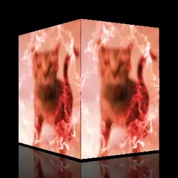 ..