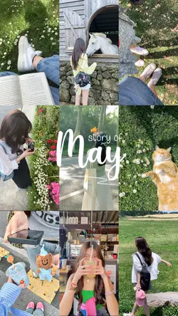 story of may