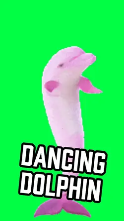 DANCING DOLPHIN MEME