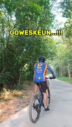 Goweskeun