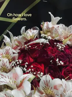 Flowers 🤍