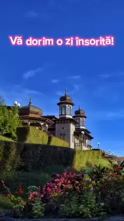 Va dorim o zi insori