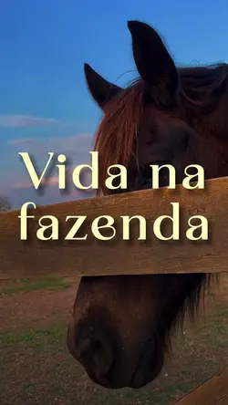 Fazenda 💸