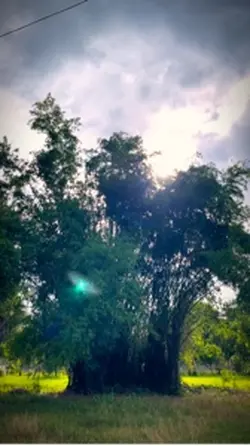 #លាហើយ​មាតុភូមិ​🎼🍂