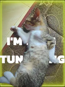 i'm tung tung tung