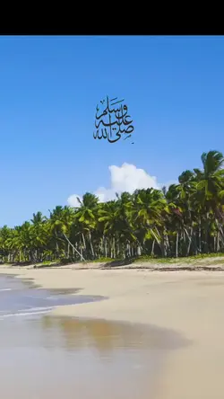 Allah's Plan