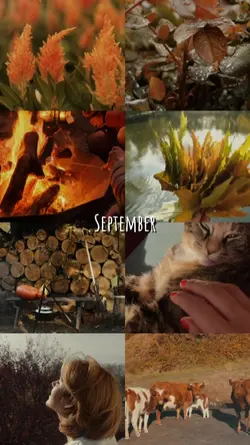 september