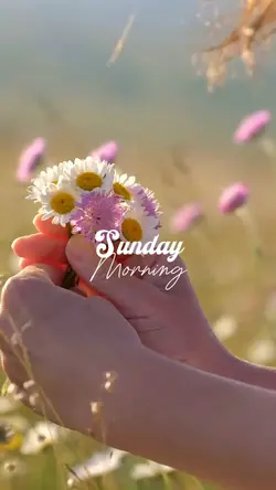 Sunday Morning