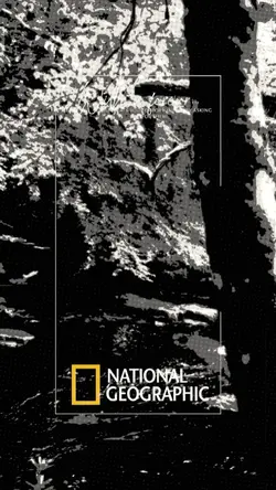 NATIONAL GEOGRAPHIC 