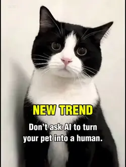 PET TO HUMAN AI