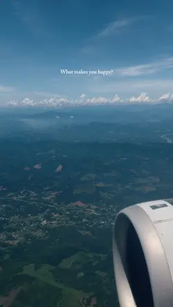 Plane views