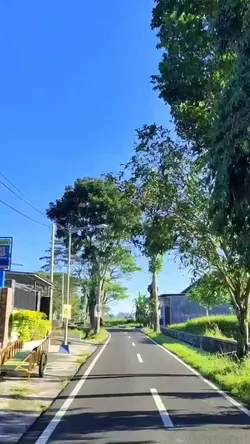 5 video 