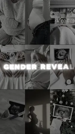 gender reveal