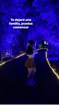 LP✨