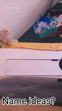 papierdrogon