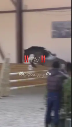 watermark removable 