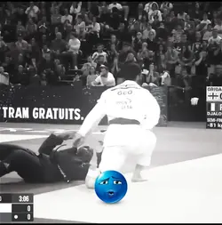 Édit judo 