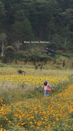 Reset,Restart,Rfocus