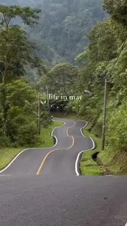 life in may dump 