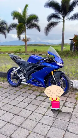 Stewie Dance