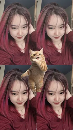 nomir versi kucing