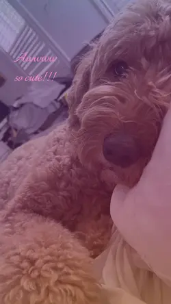 Aww so cute