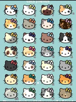 Kitty cat trend 